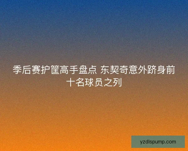 季后赛护筐高手盘点 东契奇意外跻身前十名球员之列